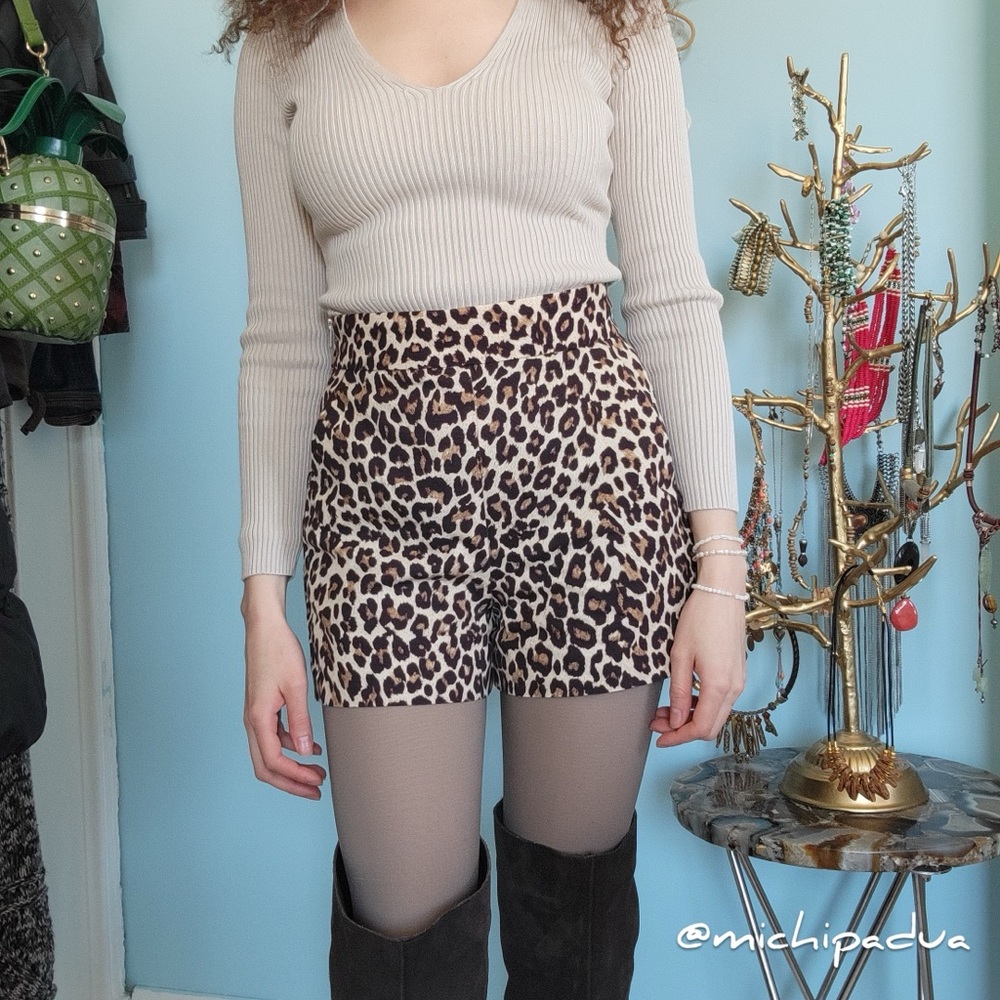 Zara Leopard Print Shorts (New Without Tags)